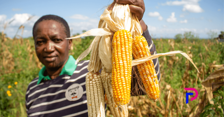 agricultura familiar