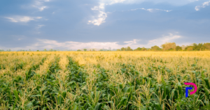agricultura familiar propostas